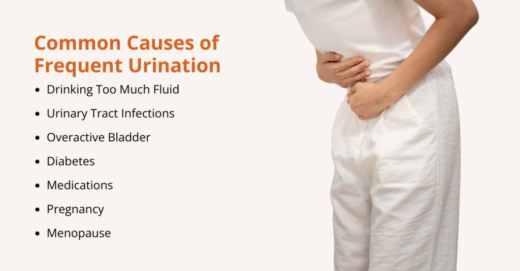 what causes frequent urination