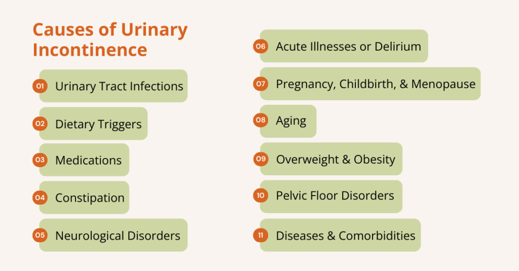 what causes urinary incontinence