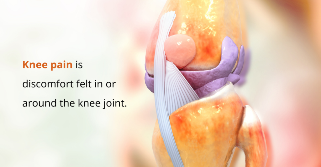 what is a knee pain